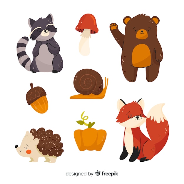 Hand drawn autumn forest animals collection