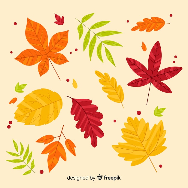 Free vector hand drawn autumn forest leaves collection