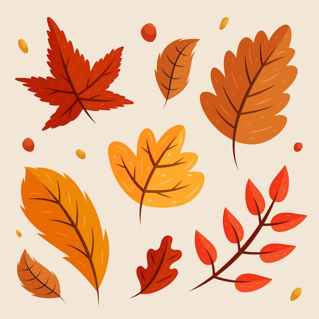 Hand drawn autumn leaves collection