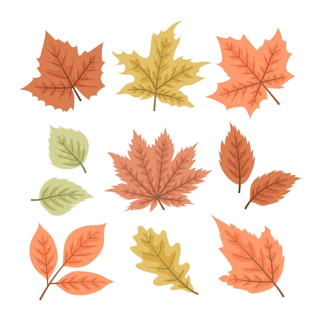 Free vector hand drawn autumn leaves collection