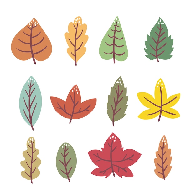 Hand drawn autumn leaves collection