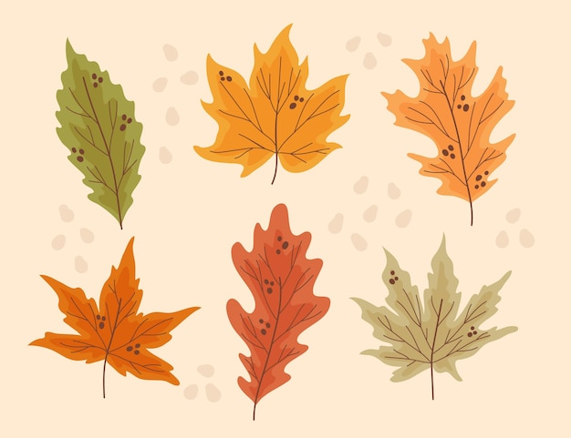 Hand drawn autumn leaves collection