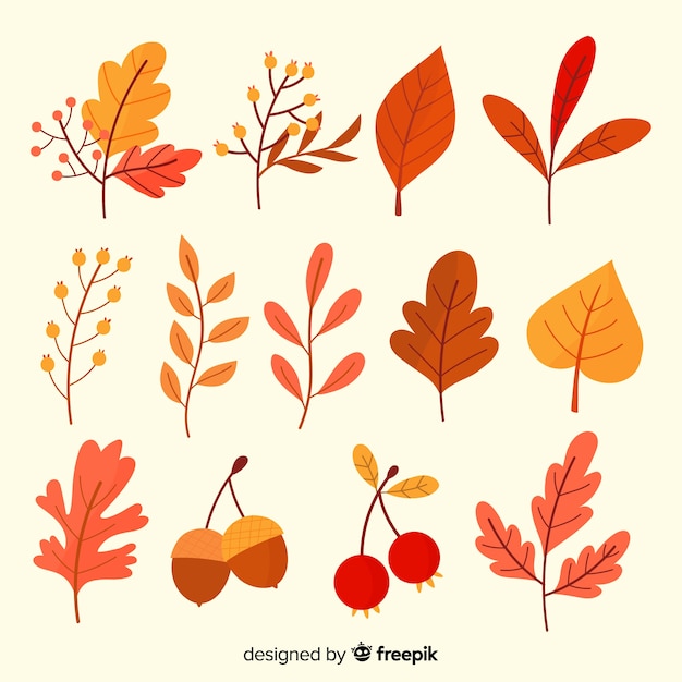 Free vector hand drawn autumn leaves collection