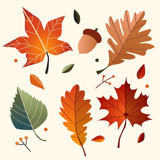 Free vector hand drawn autumn leaves pack