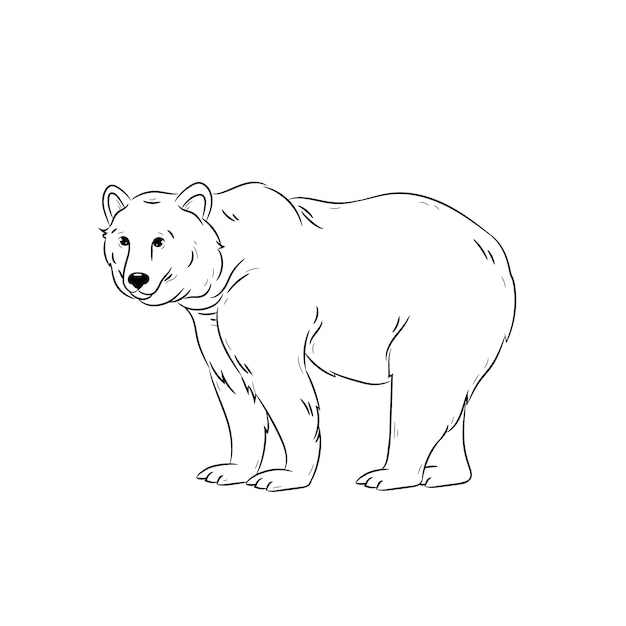 Free vector hand drawn bear outline illustration