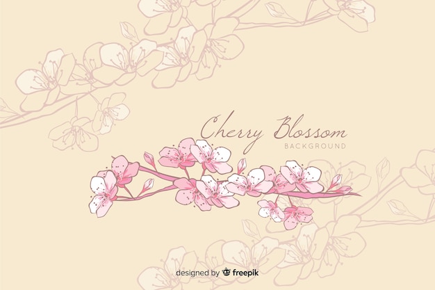 Free Vector hand drawn cherry blossom background