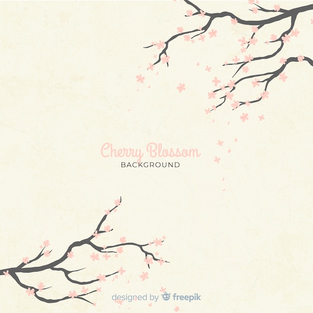 Free Vector hand drawn cherry blossom background