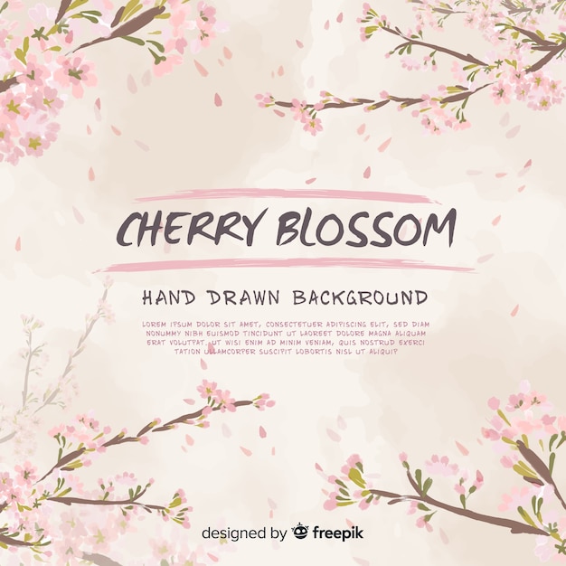 Free vector hand drawn cherry blossom background