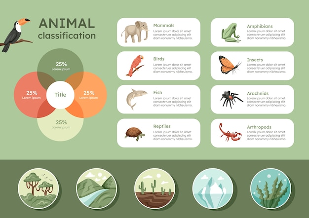 Free Vector hand drawn classification of animals infographic