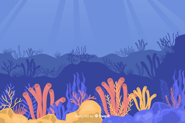 Hand drawn coral background