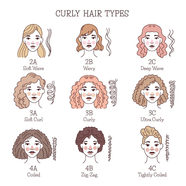 Free Vector hand drawn curly hair types set