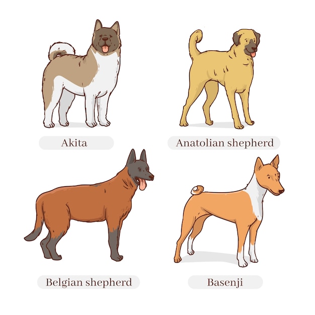 Hand drawn dog breeds illustration