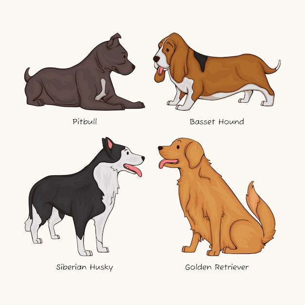 Free Vector hand drawn dog breeds illustration