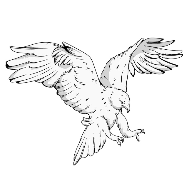 Free Vector hand drawn eagle  flying drawing illustration