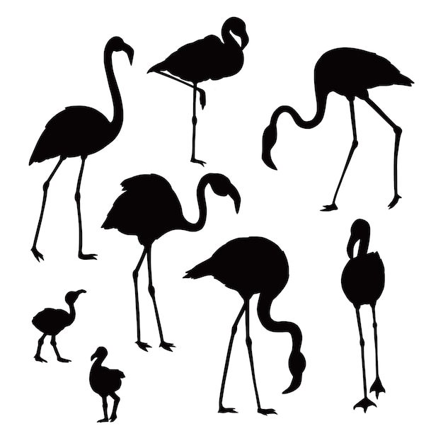 Hand drawn flamingo silhouette