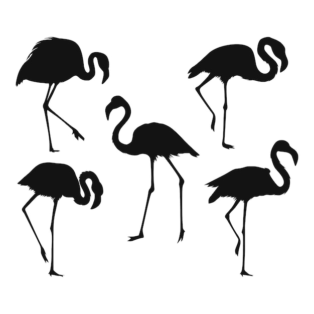 Hand drawn flamingo silhouette