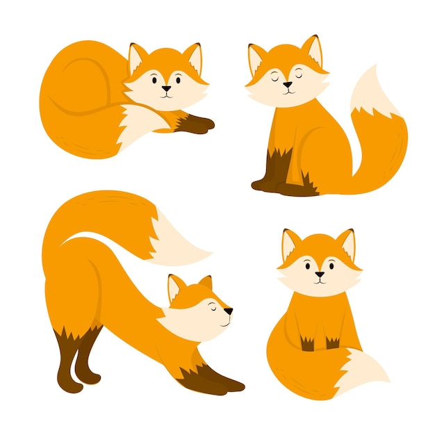 Hand drawn fox collection