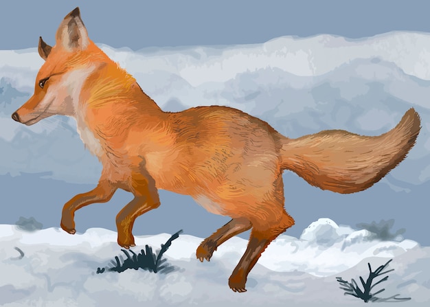 Hand drawn fox