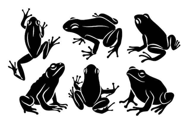 Hand drawn frog  silhouette