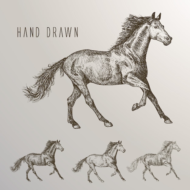 Free Vector hand drawn horses collection