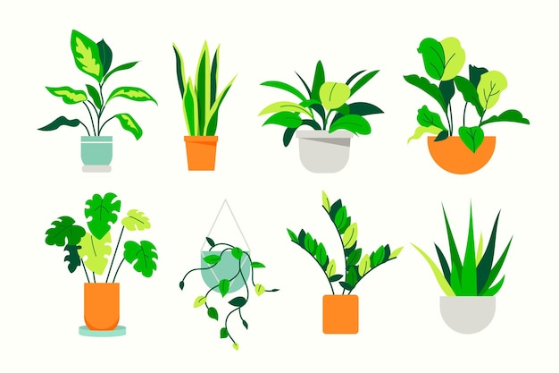 Free Vector hand drawn houseplant collection