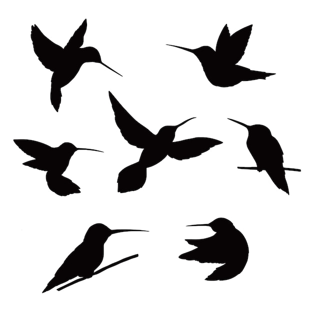 Free vector hand drawn hummingbird silhouette