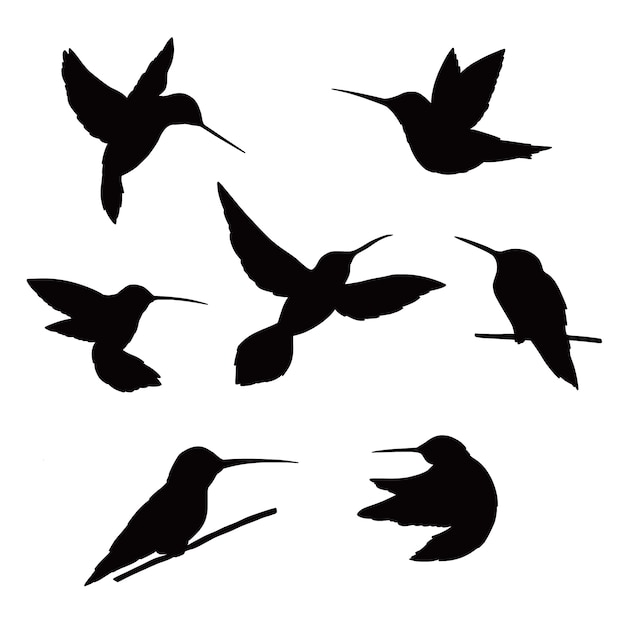 Hand drawn hummingbird silhouette