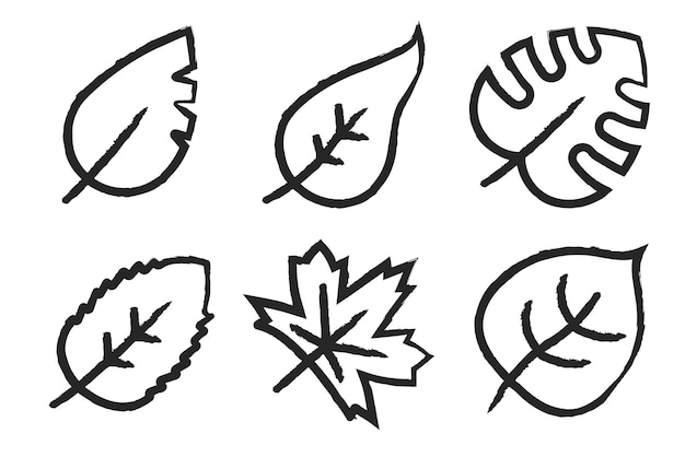 Hand Drawn Leaves