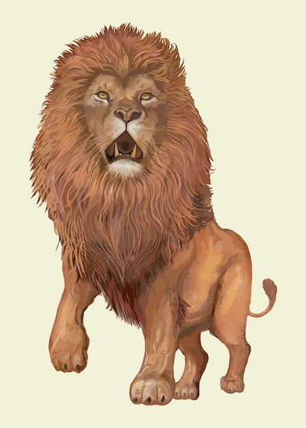 Hand drawn lion