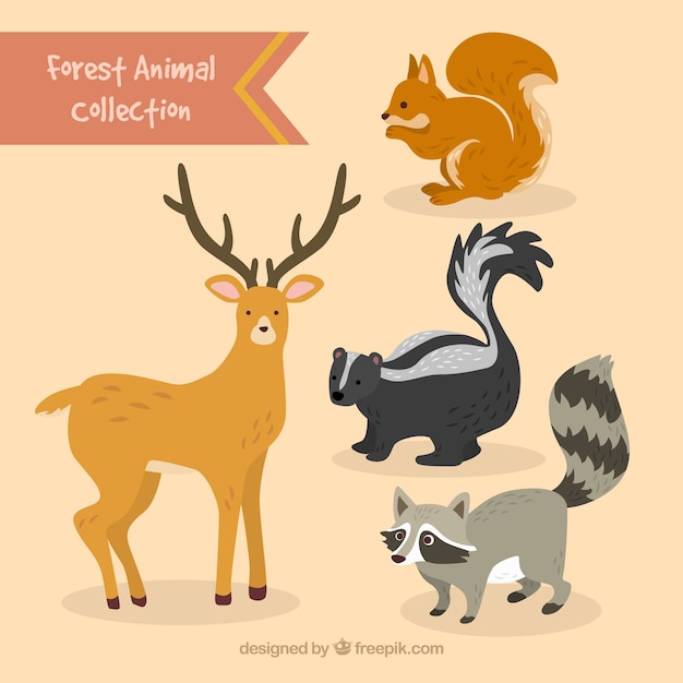 Free vector hand drawn lovely forest animals set