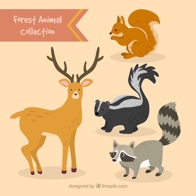 Hand drawn lovely forest animals set