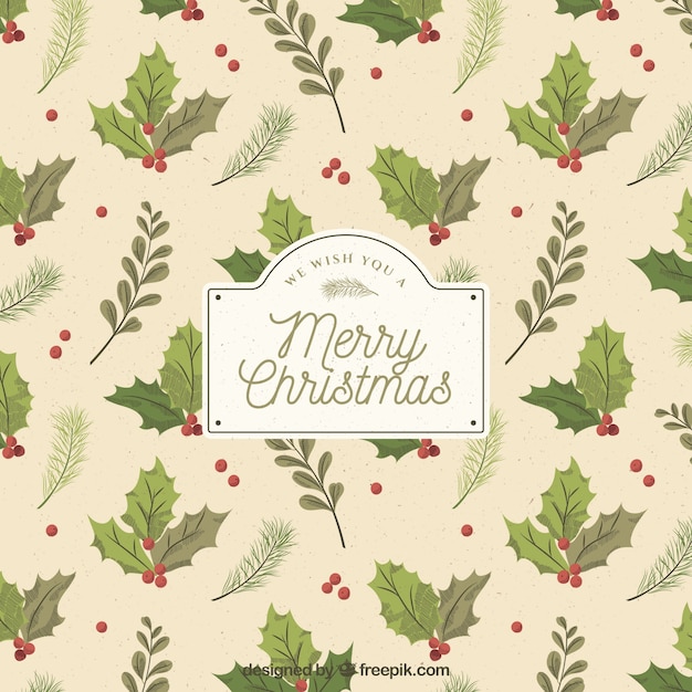 Free Vector hand drawn mistletoe christmas background