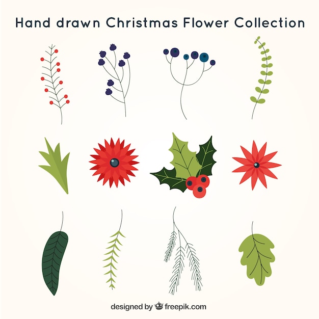 Free Vector hand-drawn pack christmas flowers