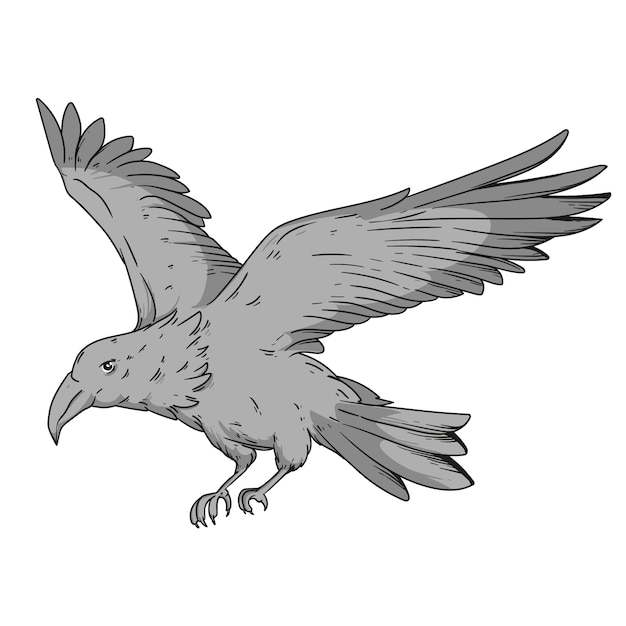 Free Vector hand drawn raven flying drawing illustration