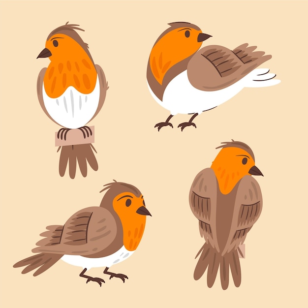 Free Vector hand drawn robin collection