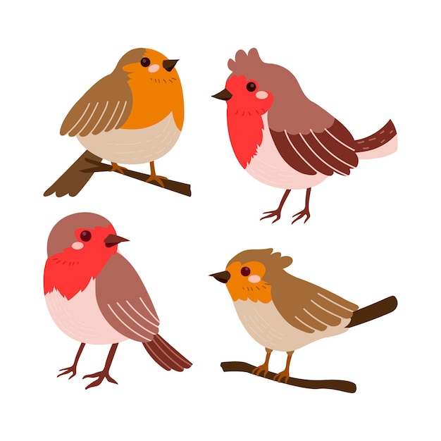 Free Vector hand drawn robin collection