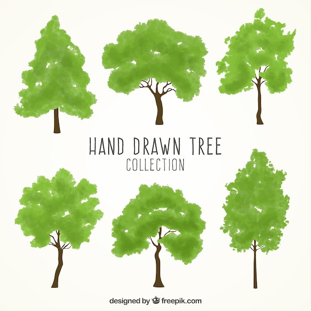 Free Vector hand-drawn set of green trees