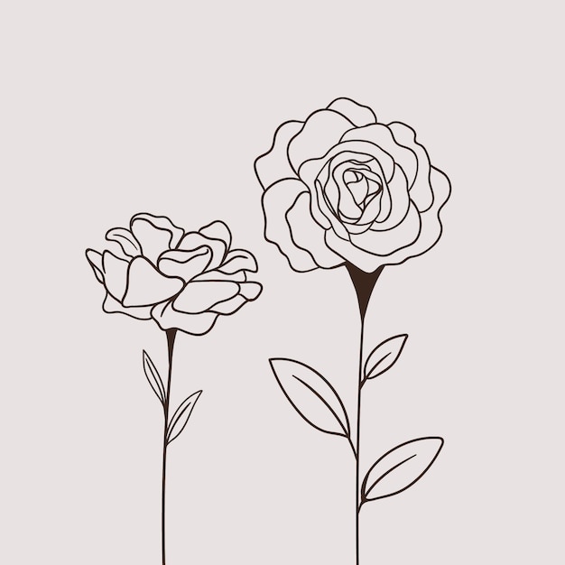 Hand drawn simple flower outline illustration