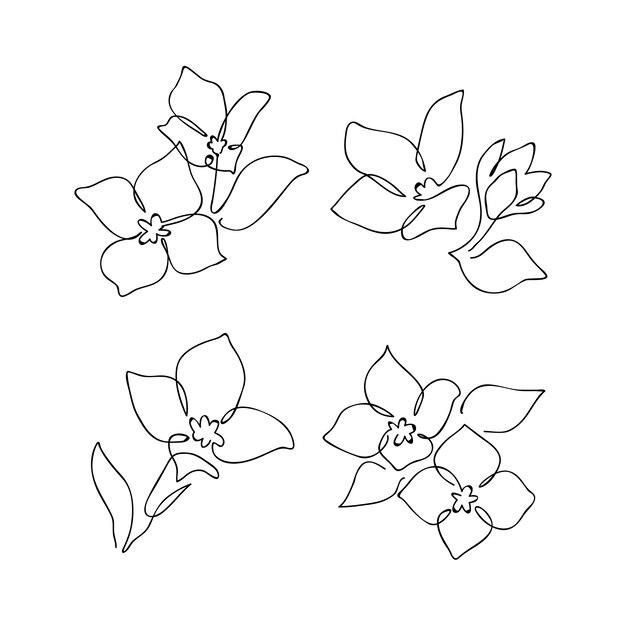 Hand drawn simple flower outline illustration