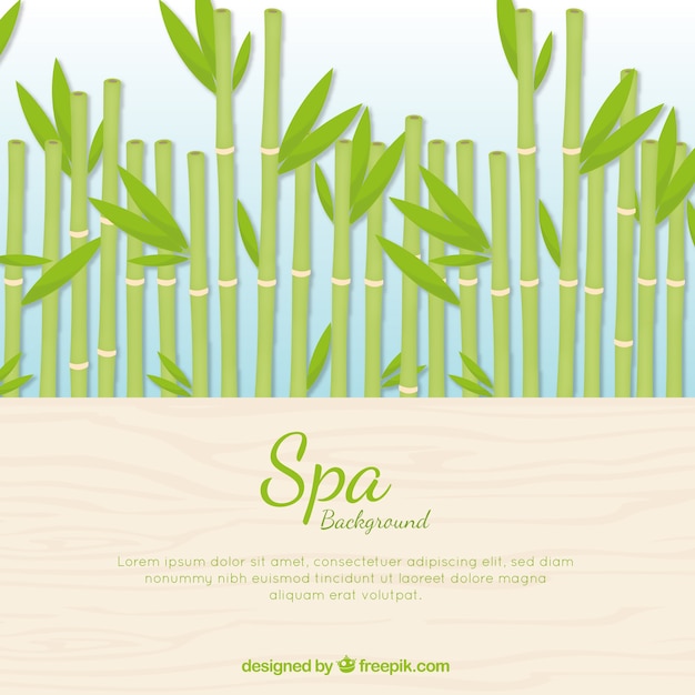 Hand drawn spa background