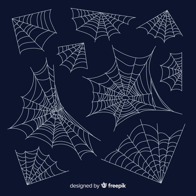 Hand drawn spider cobweb collection