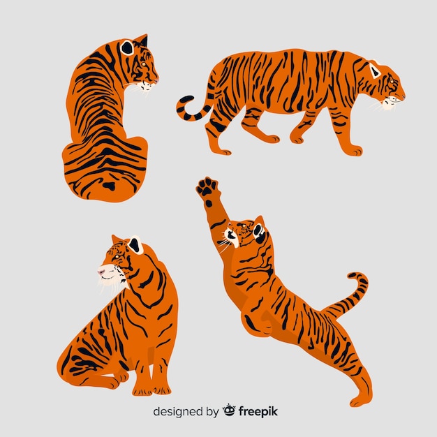 Free vector hand drawn style tiger collection