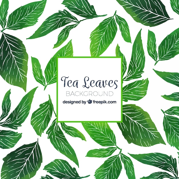 Free Vector hand drawn tea leaves background