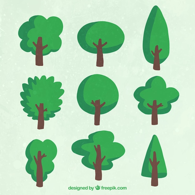 Free Vector hand drawn tree collection