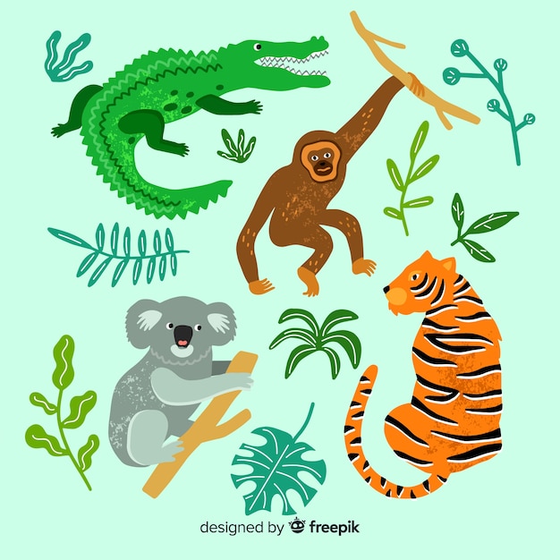 Free Vector hand drawn tropical animal collection