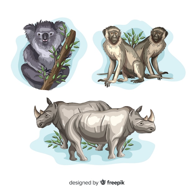 Free Vector hand drawn tropical animal collection