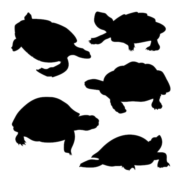 Free Vector hand drawn turtle silhouette