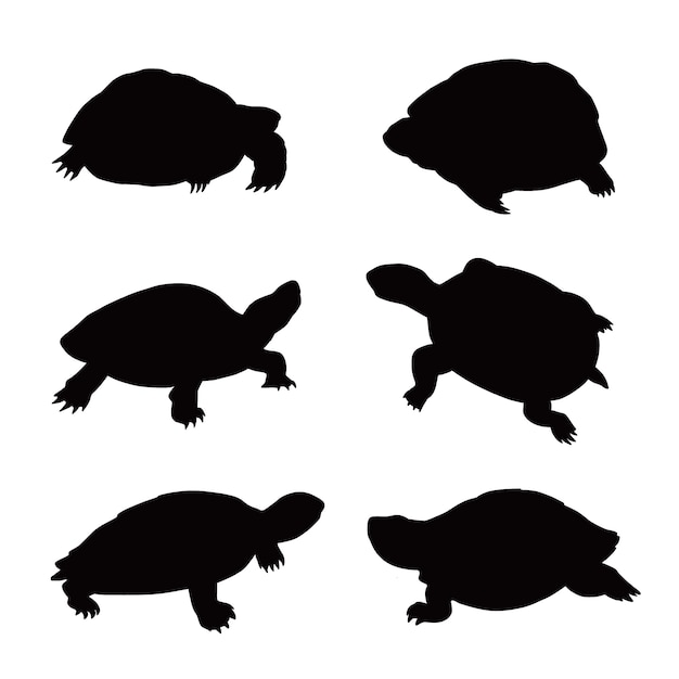 Free Vector hand drawn turtle silhouette