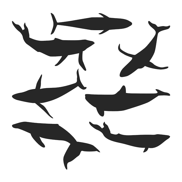 Free Vector hand drawn whale silhouette