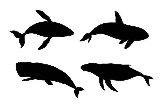 Free Vector hand drawn whale silhouette